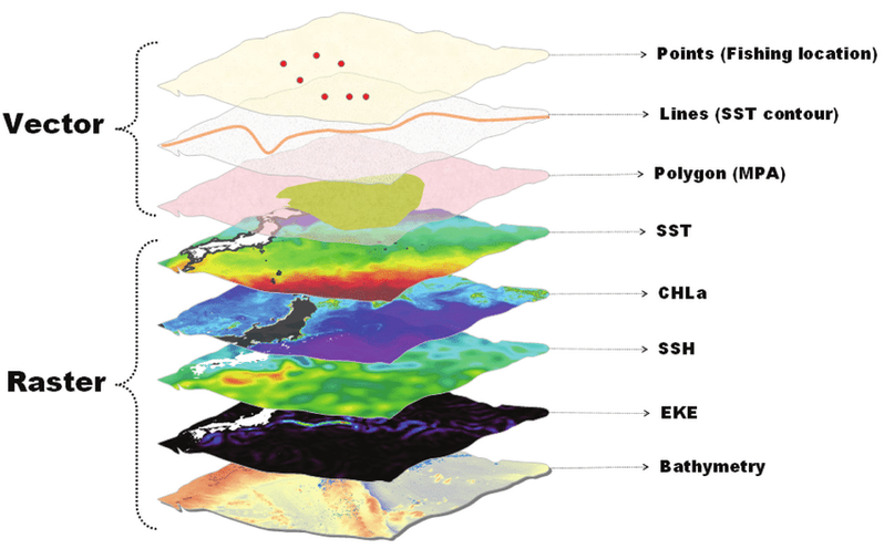 Understanding Spatial Data Types and Metadata in GIS Projects